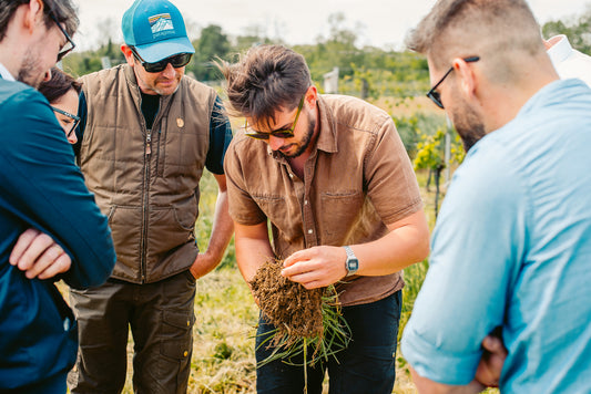 Entdeckung des Weinguts Kristinus: Eine Reise in die biodynamische Weinherstellung