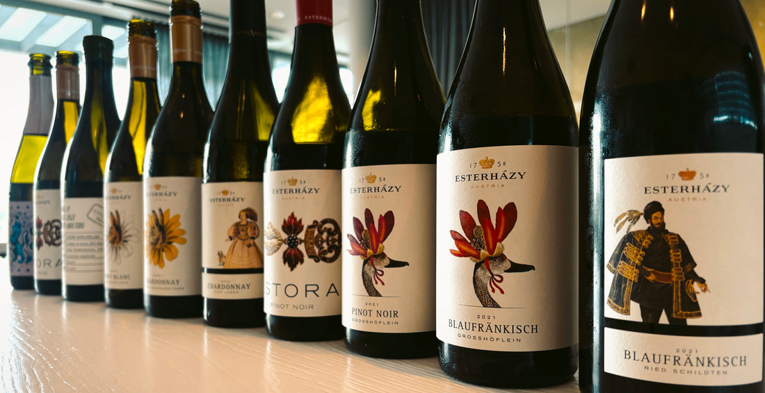 Ganz wie nach Hause kommen - Esterházy Weingut