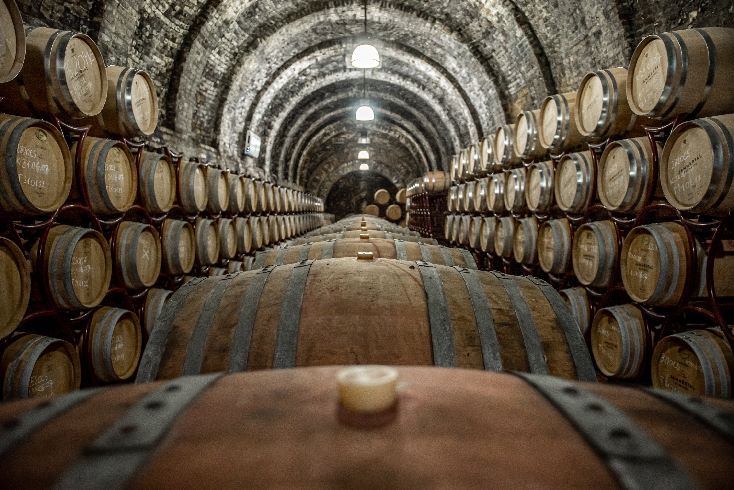 JWE_Wine_cellar_photo_by_Balazs_Szmodits